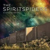 Виниловая пластинка THE SPIRITSPIDERS / A VOICE IN THE SKY (2LP)
